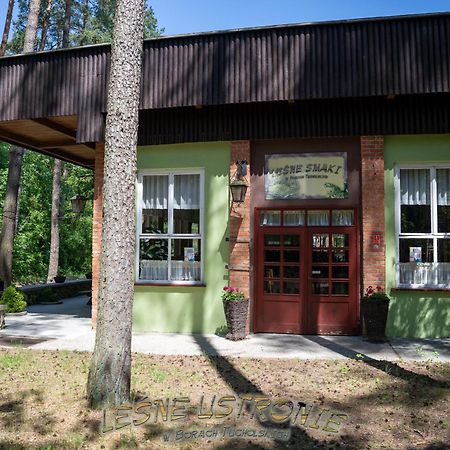 Вилла "Lesne Ustronie" Byslaw Экстерьер фото